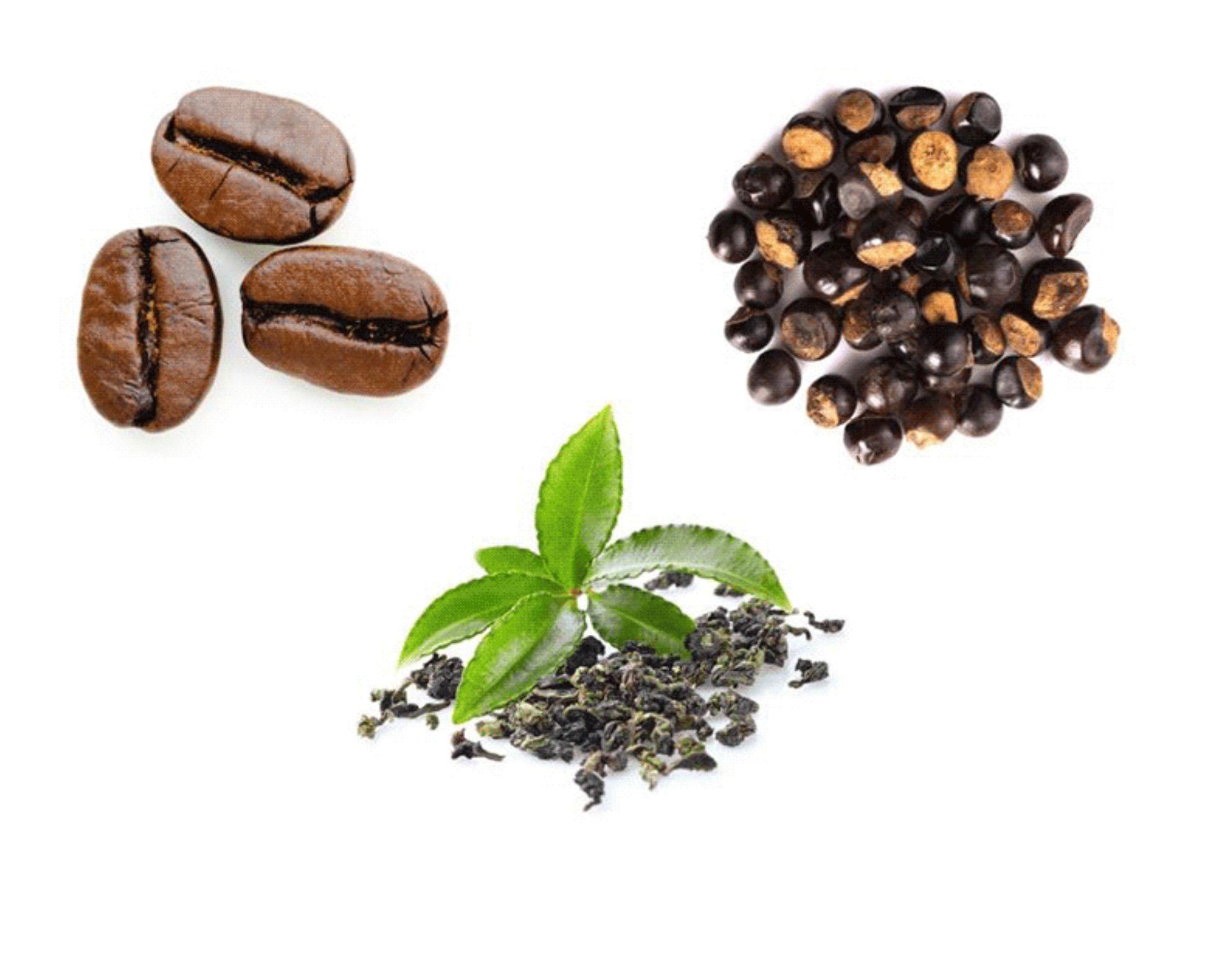 OnGo Ingredients | Part III – Guarana Seed Extract